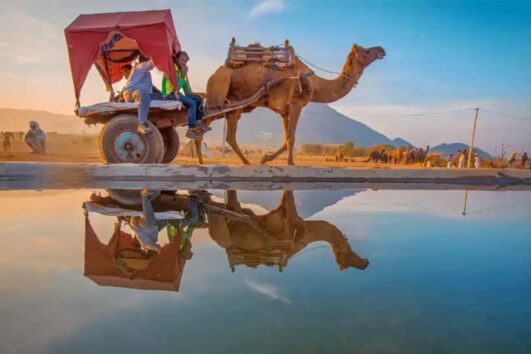 pushkar tour packages