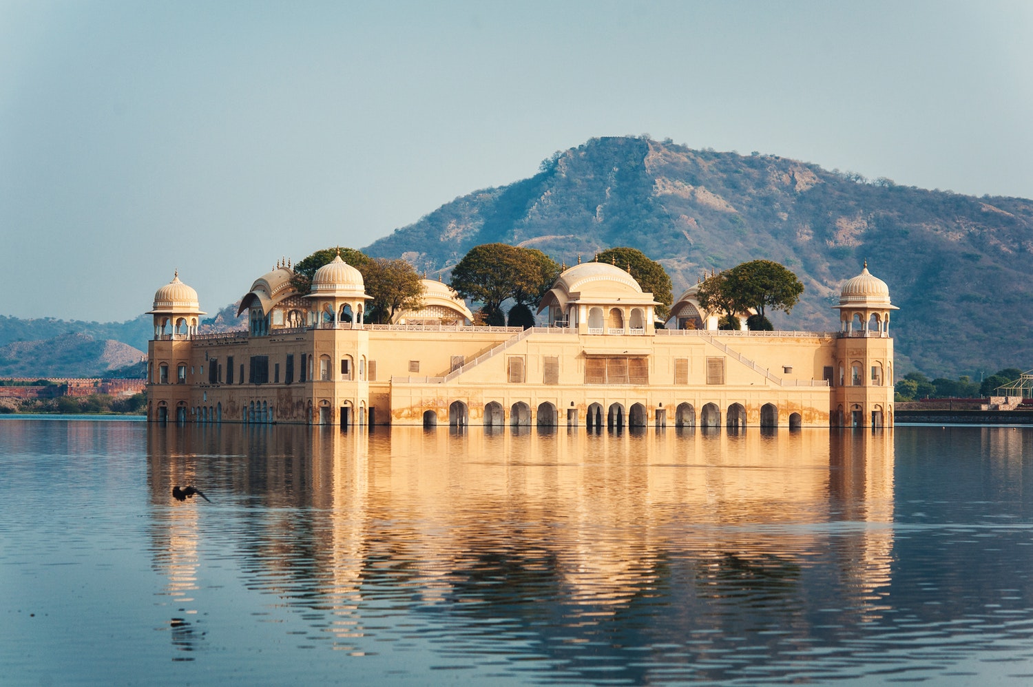 Day Trip To Jaipur Delhi Jaipur Tour Packages India Taj Tours